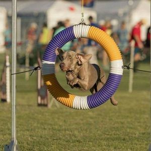 Meet your Posher, Carlos